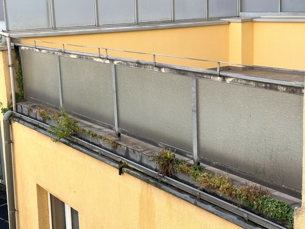 Nahaufnahme am Balkonrand: Glasbrüstung, verschmutzte Rinne und Pflanzenbewuchs entlang der Entwässerung – deutlich sanierungsbedürftig, vor der Maßnahme.